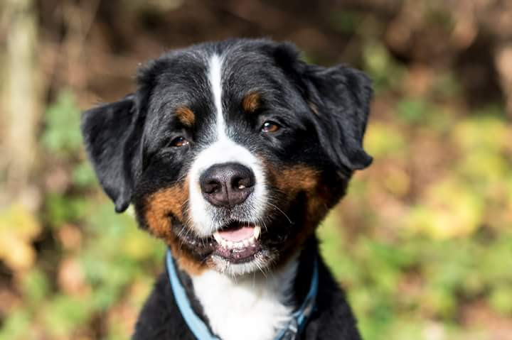 WhatsApp Image 2025-02-03 at 21.24.12 (2)